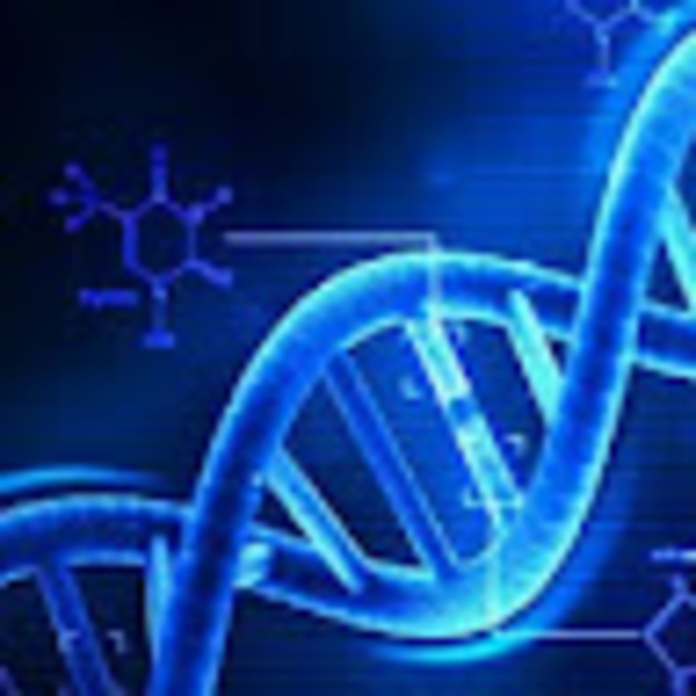 Meet your Posher, Brain